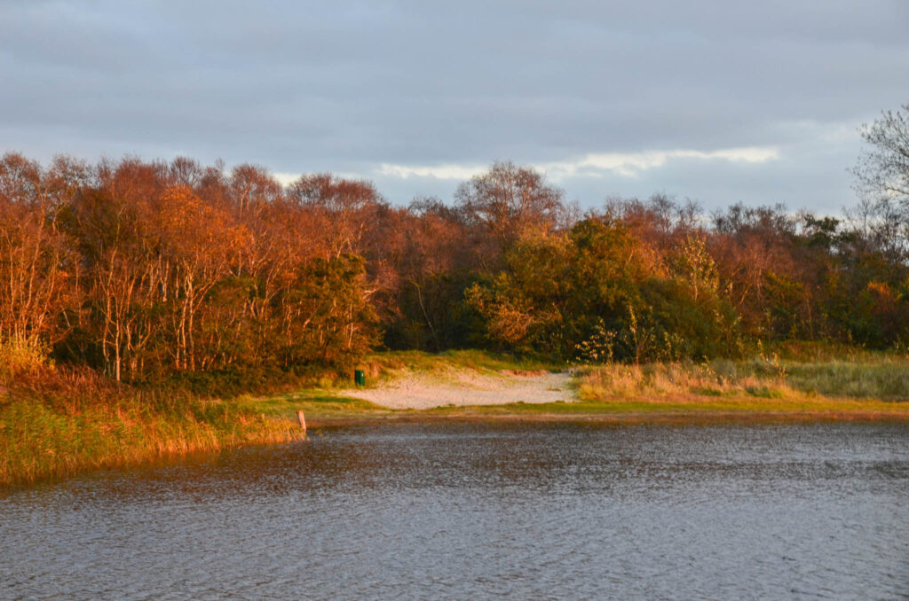 Herfst op Schiermonnikoog